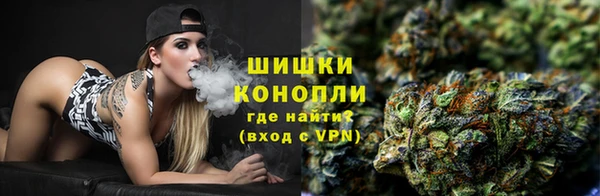 СК Волоколамск