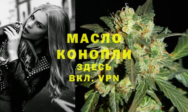 сатива Верея