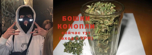 мдпв Верхний Тагил