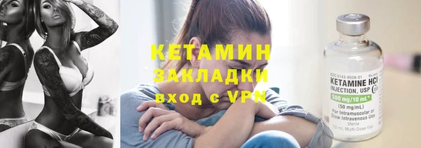 сатива Верея