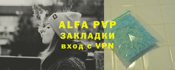 сатива Верея