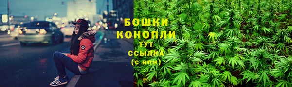мдпв Верхний Тагил