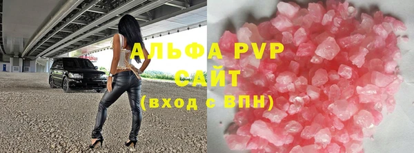 сатива Верея